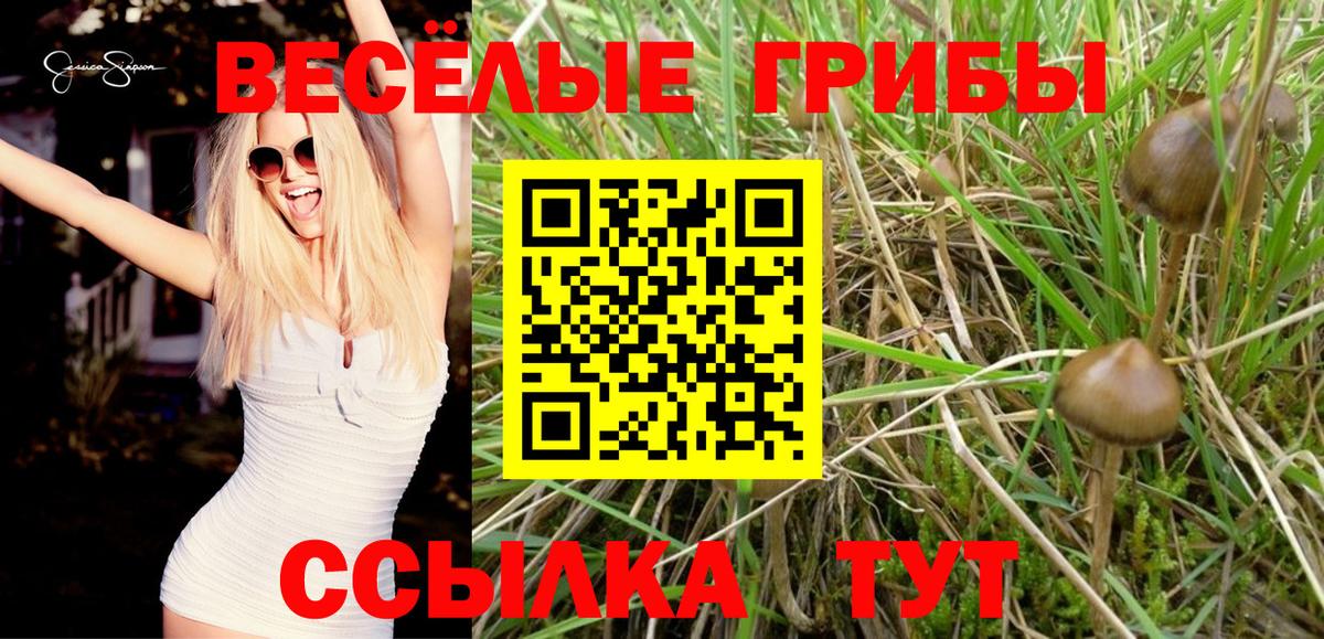 Псилоцибиновые грибы прущие грибы  дарнет шоп  Городец  Галлюциногенные грибы GOLDEN TEACHER  Вход с VPN 