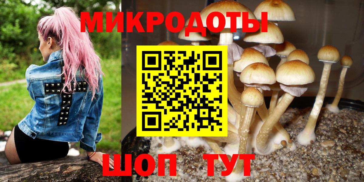 Псилоцибиновые грибы GOLDEN TEACHER Городец
